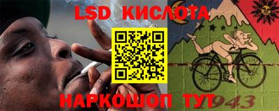 мдпв Бийск