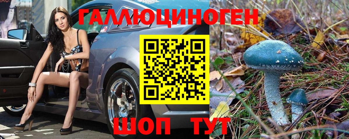 Зеленодольск  как найти наркотики  Вход с VPN  Псилоцибиновые грибы Psilocybe 